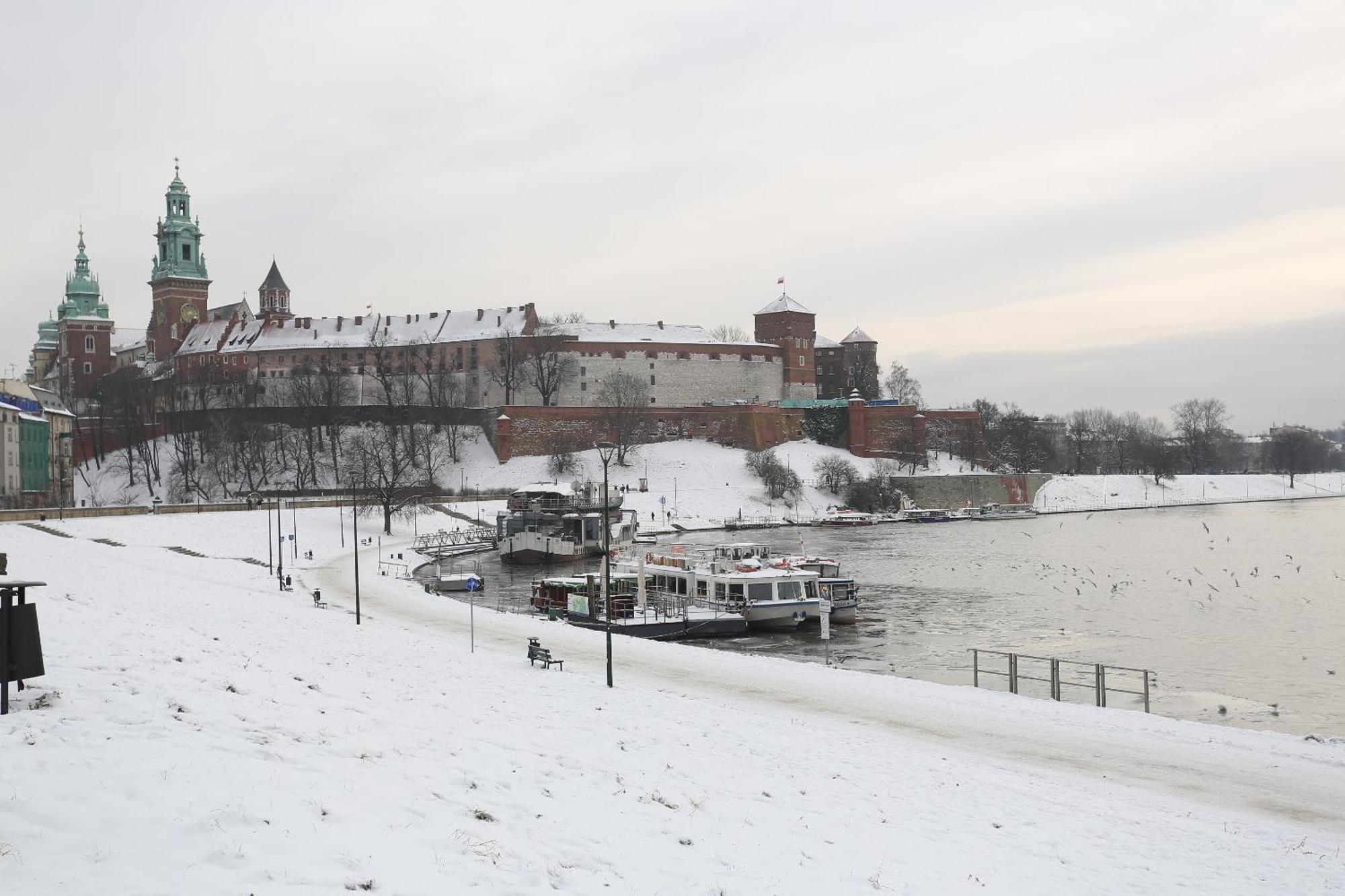 Apartment Next To Wawel Castle, Vistula River & Old Town Cracow Kraków Exteriör bild